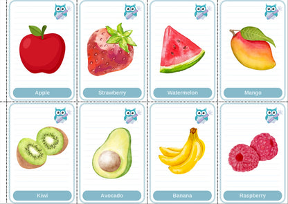 Toddler Beginner Flashcard Bundle