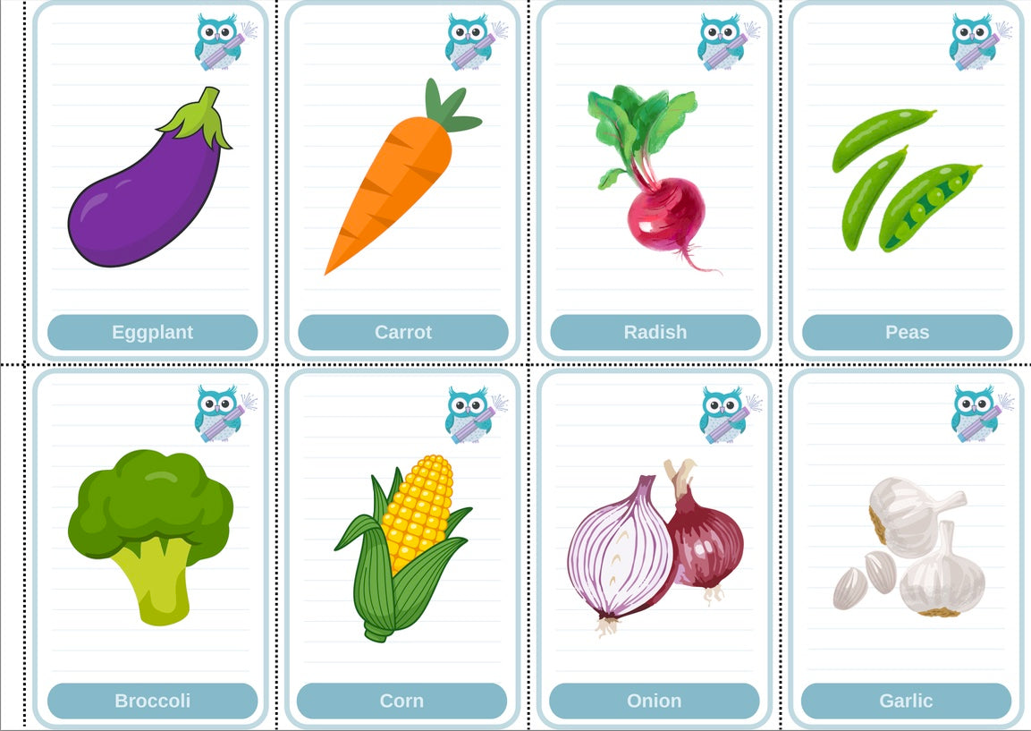 Toddler Beginner Flashcard Bundle