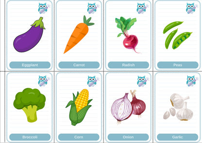 Toddler Beginner Flashcard Bundle