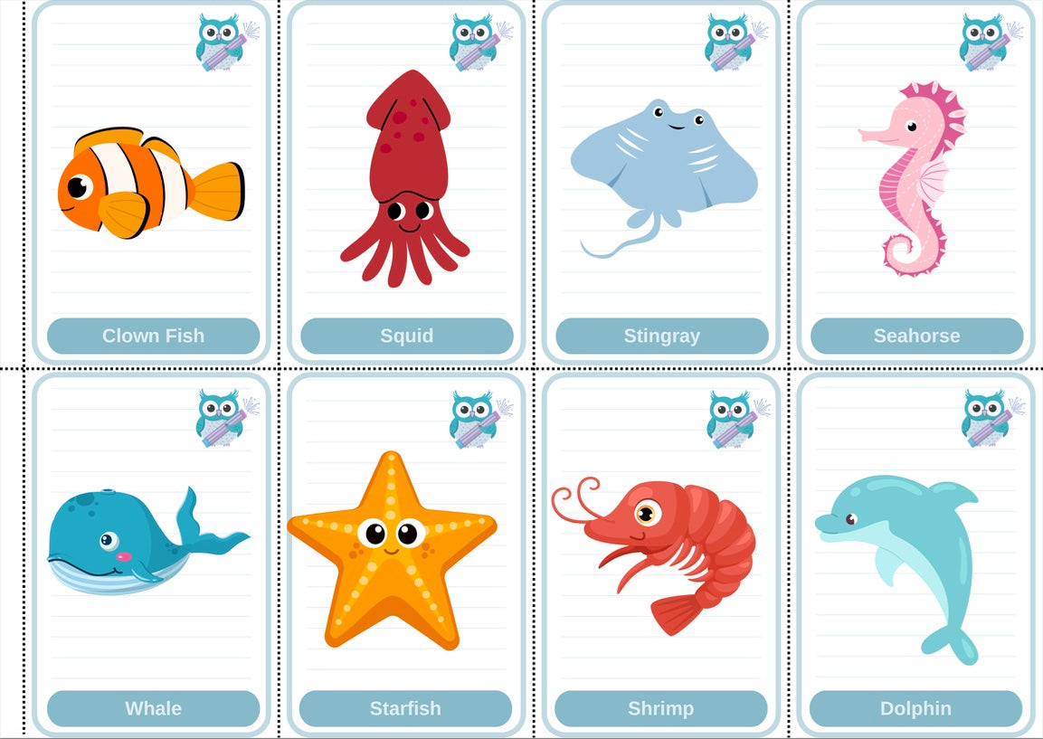 Toddler Beginner Flashcard Bundle