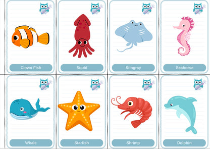 Toddler Beginner Flashcard Bundle