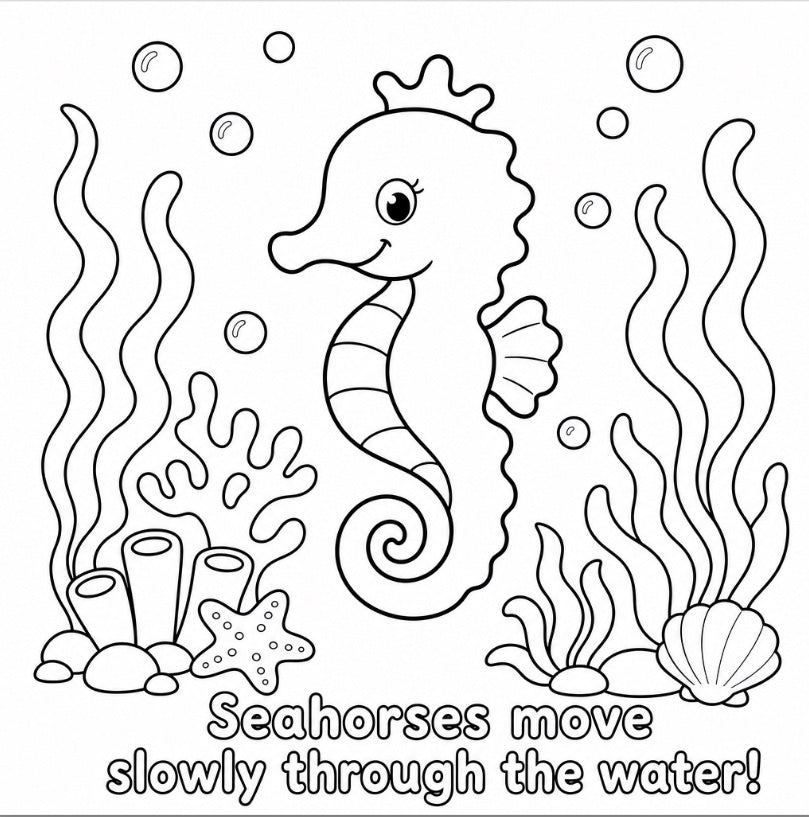 Ocean Pals: Colour and Learn About Sea Friends