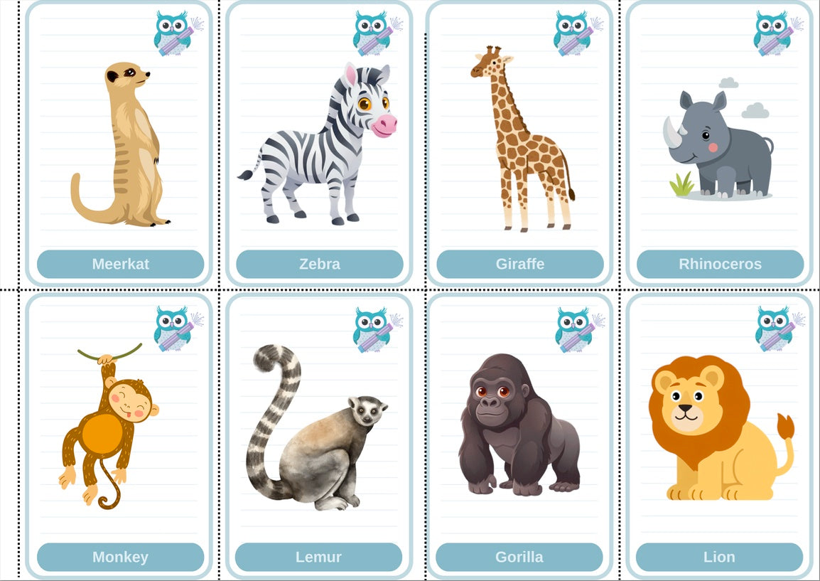 Toddler Beginner Flashcard Bundle