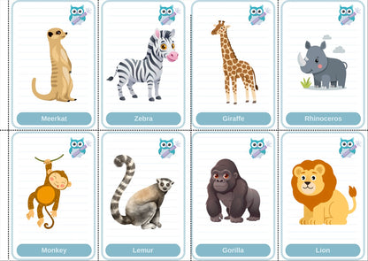 Toddler Beginner Flashcard Bundle