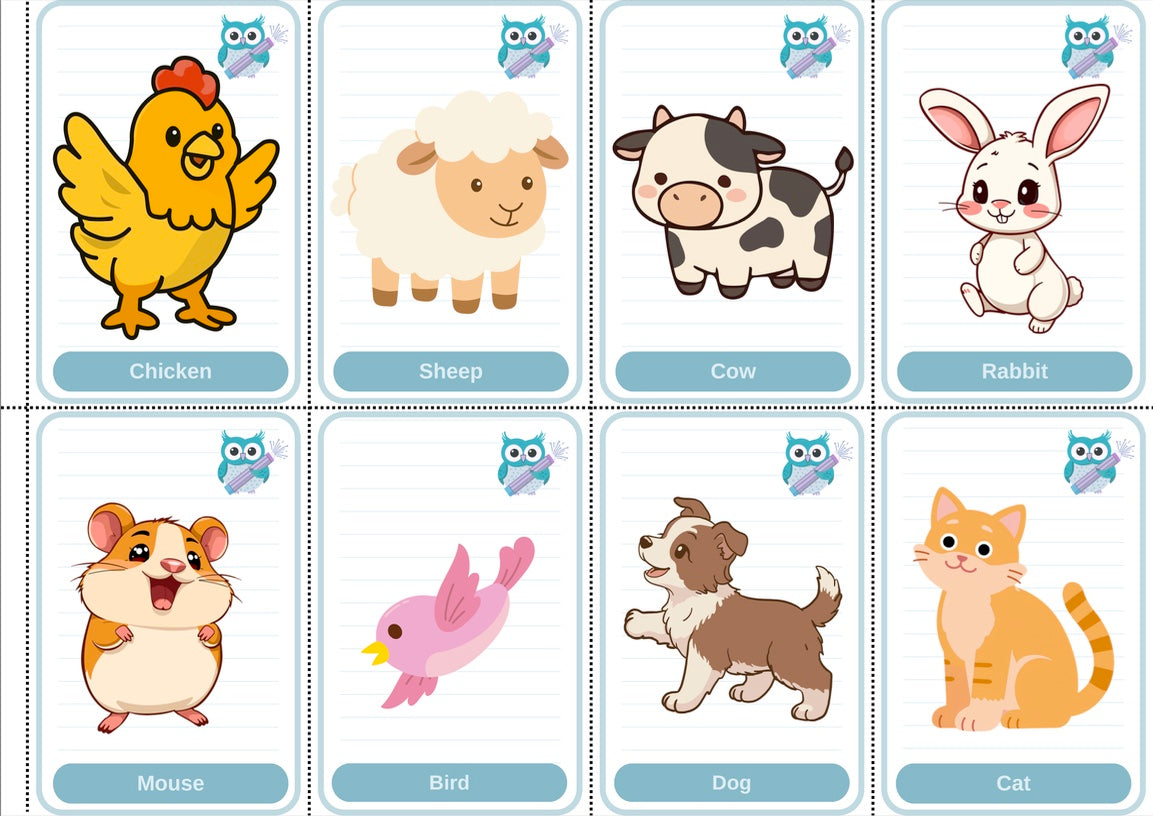 Toddler Beginner Flashcard Bundle