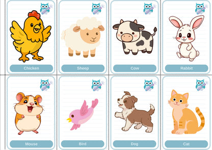 Toddler Beginner Flashcard Bundle
